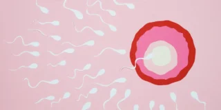 spermiocoltura