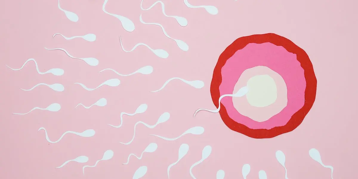 Spermiocoltura: cos’è e a cosa serve